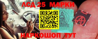 прущие грибы Волгодонск