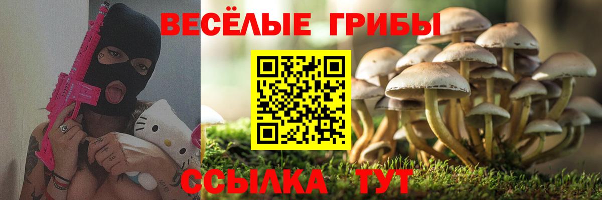 Галлюциногенные грибы Psilocybe Орехово-Зуево